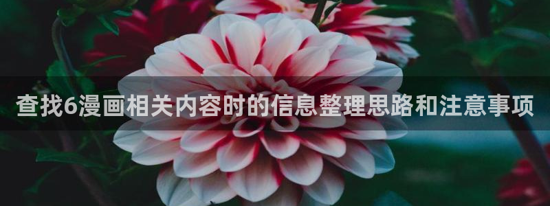 漫蛙漫画完结漫画推荐：查找6漫画相关内容时的信息整理思路和注意事项